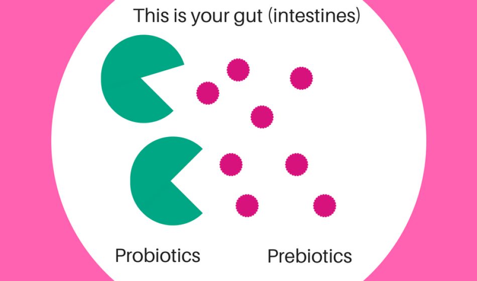 Gut probiotics infographic